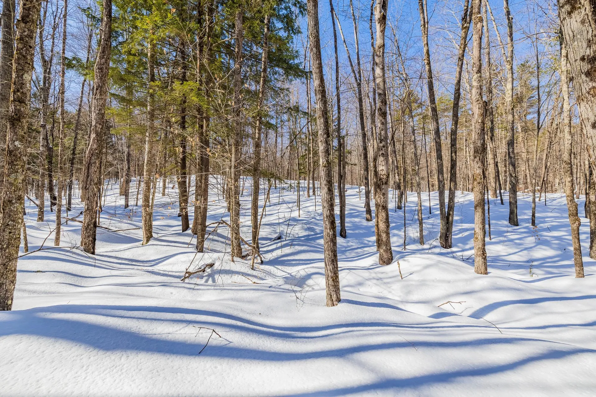 5417 Fletcher Lane Hartford VT 05059