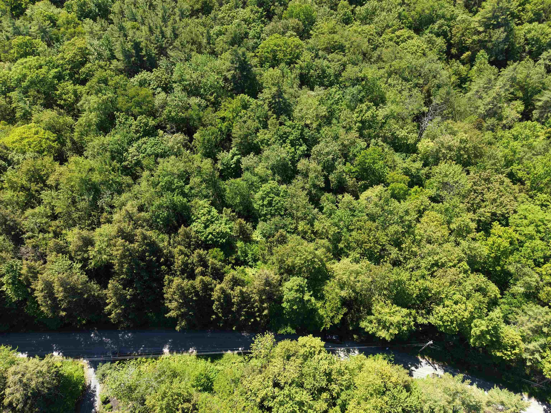 5417 Fletcher Lane Hartford VT 05001