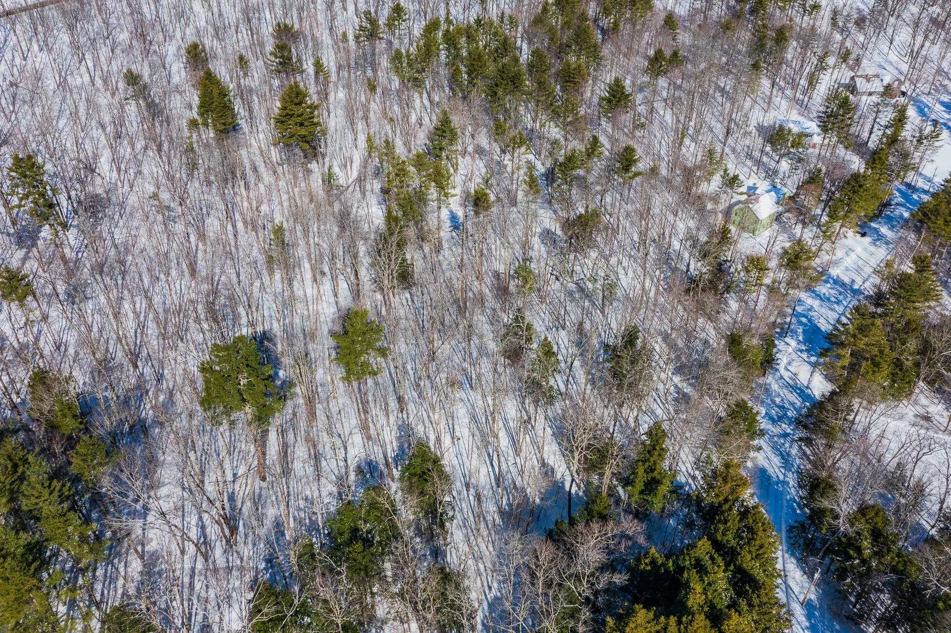 5417 Fletcher Lane Hartford VT 05059