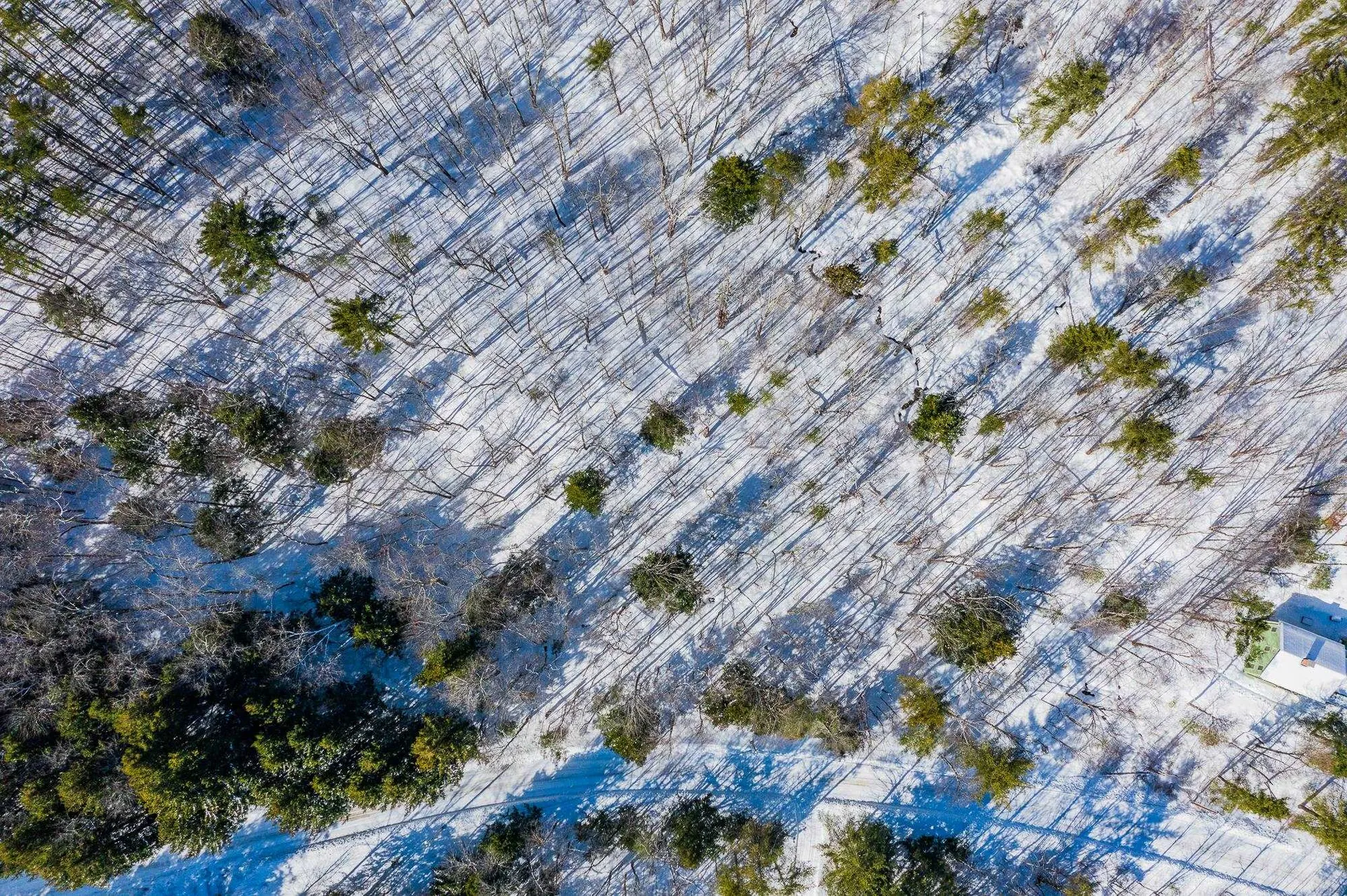 5417 Fletcher Lane Hartford VT 05059