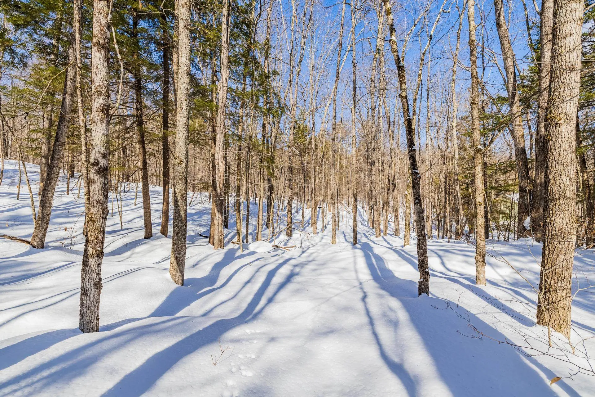 5417 Fletcher Lane Hartford VT 05059