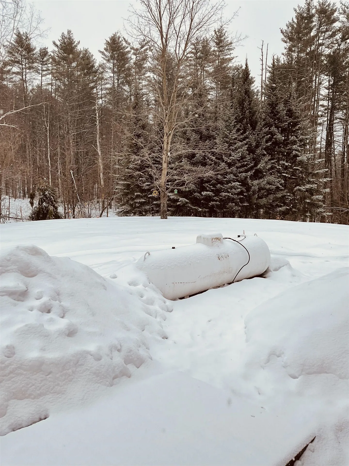 133 White Oak Lane Royalton VT 05068