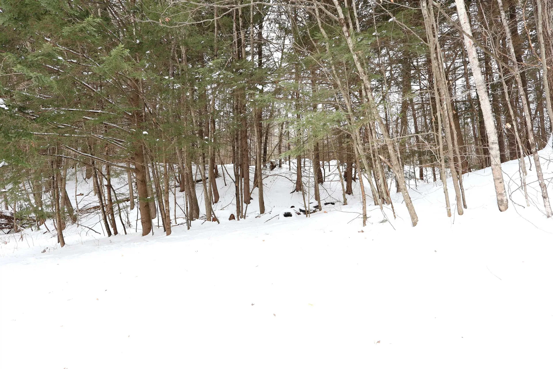 25 Independent Drive Hartland VT 05048