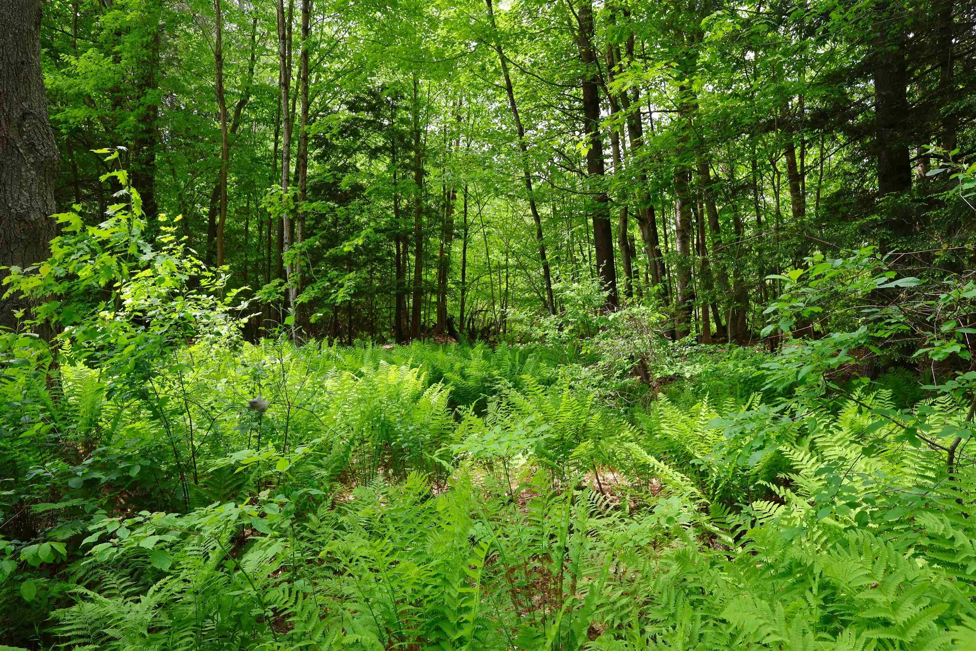 25 Independent Drive Hartland VT 05048