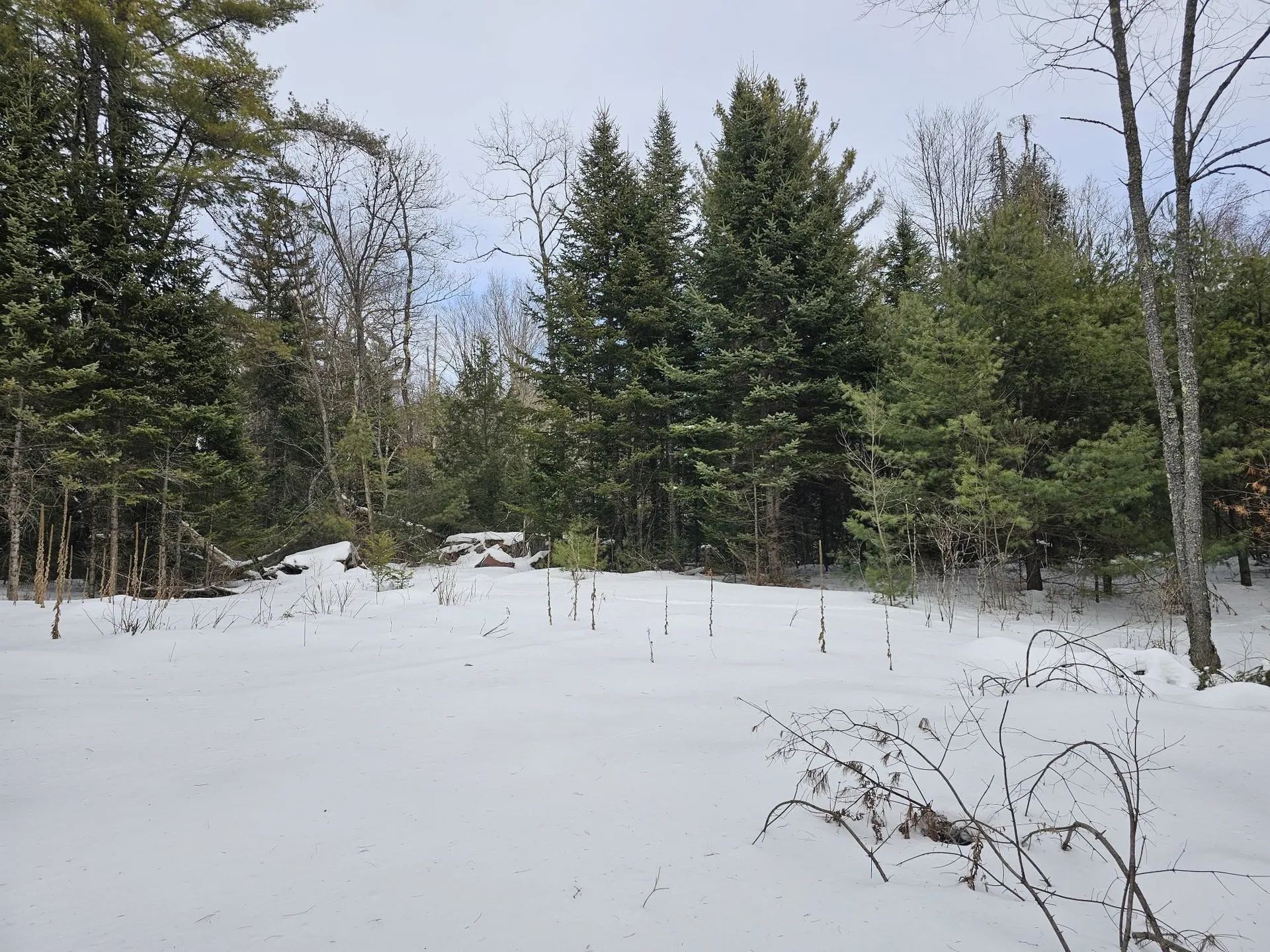 437 River Road Acworth NH 03601