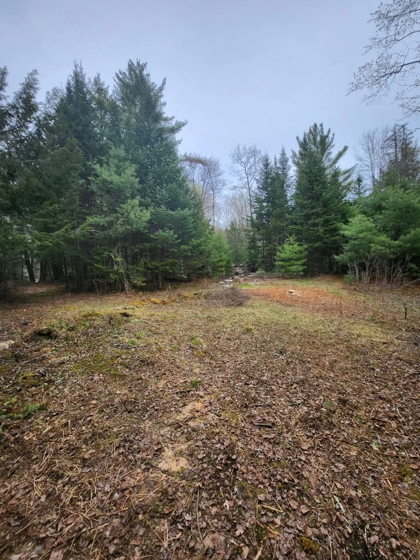 437 River Road Acworth NH 03601