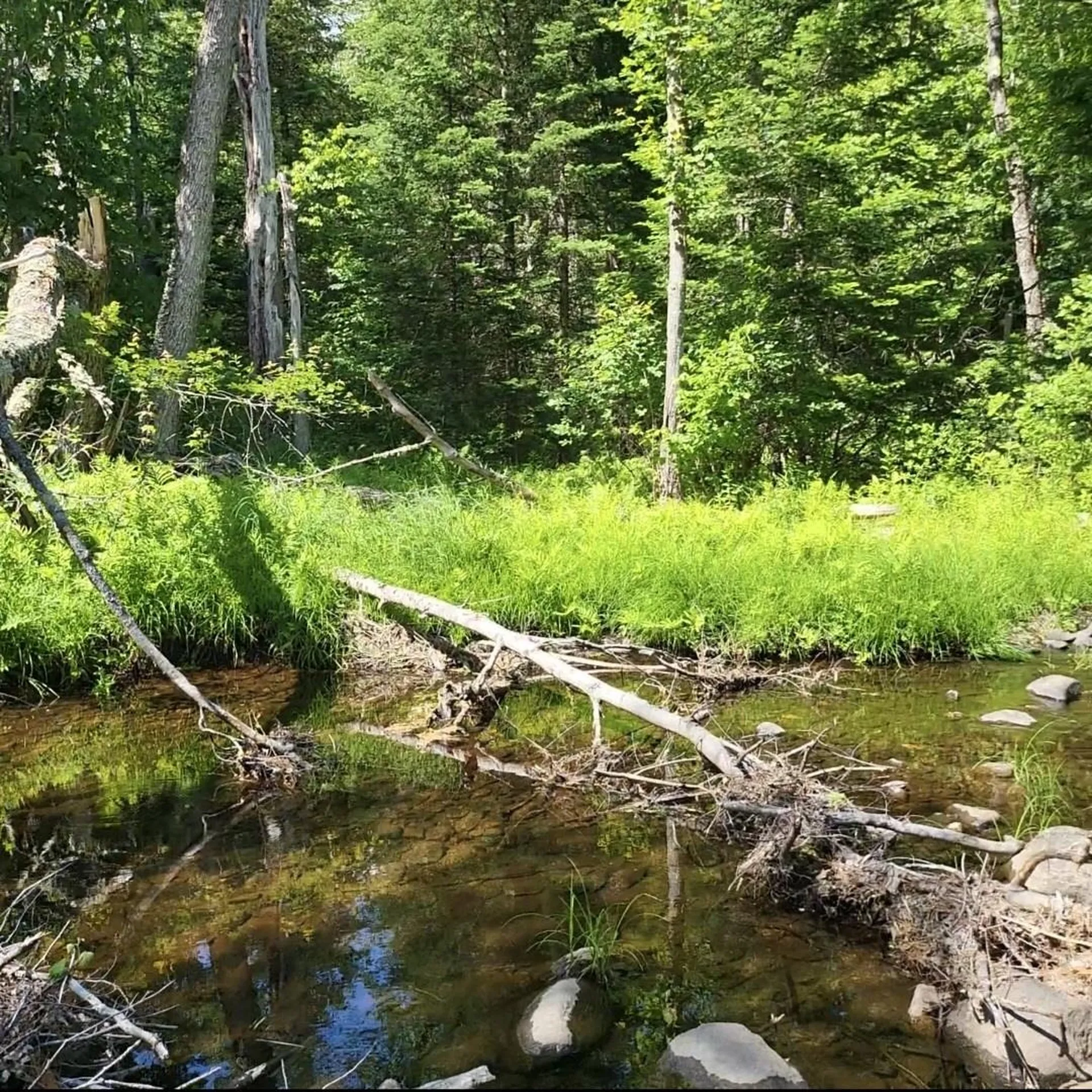 437 River Road Acworth NH 03601