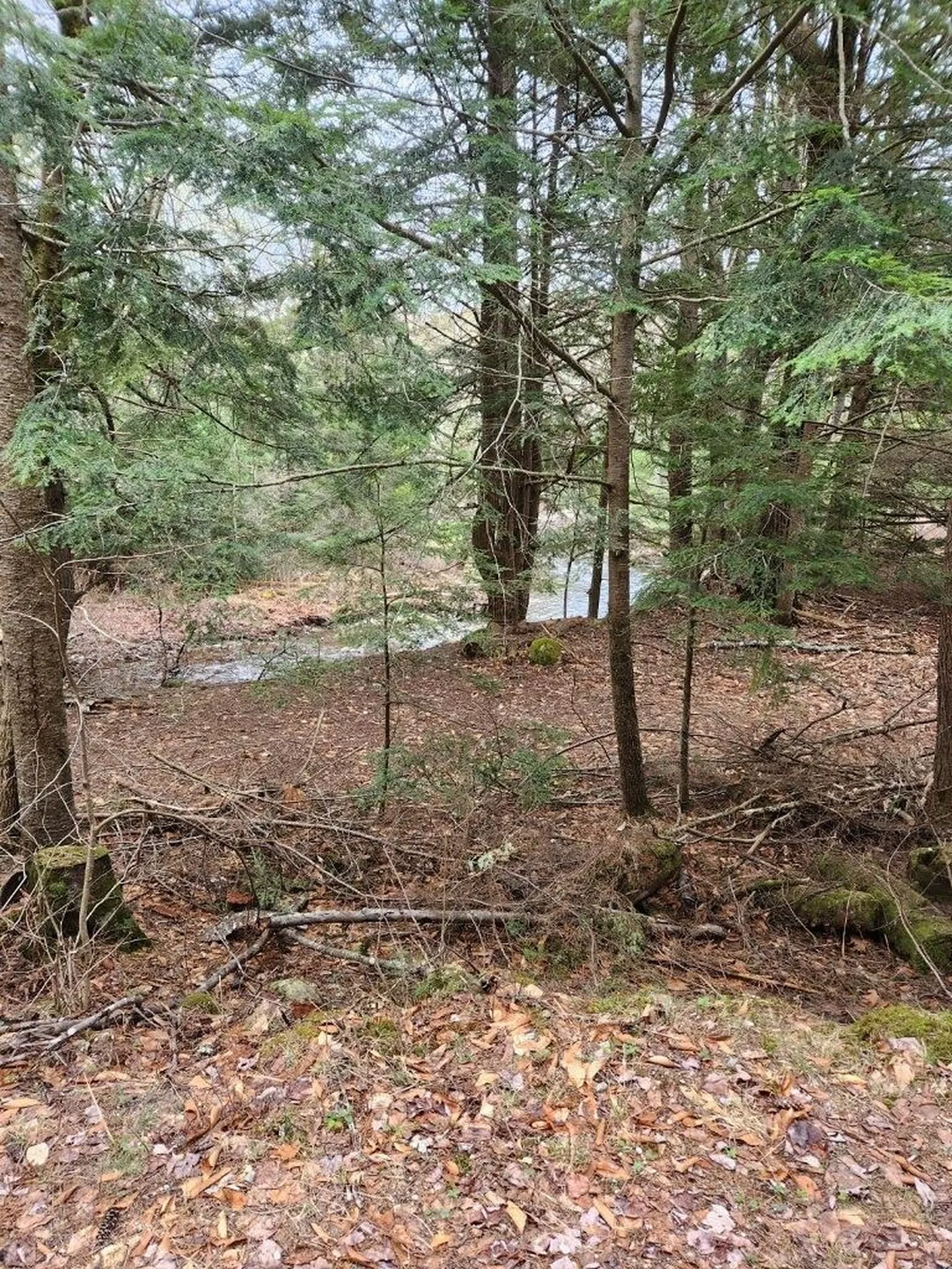 437 River Road Acworth NH 03601