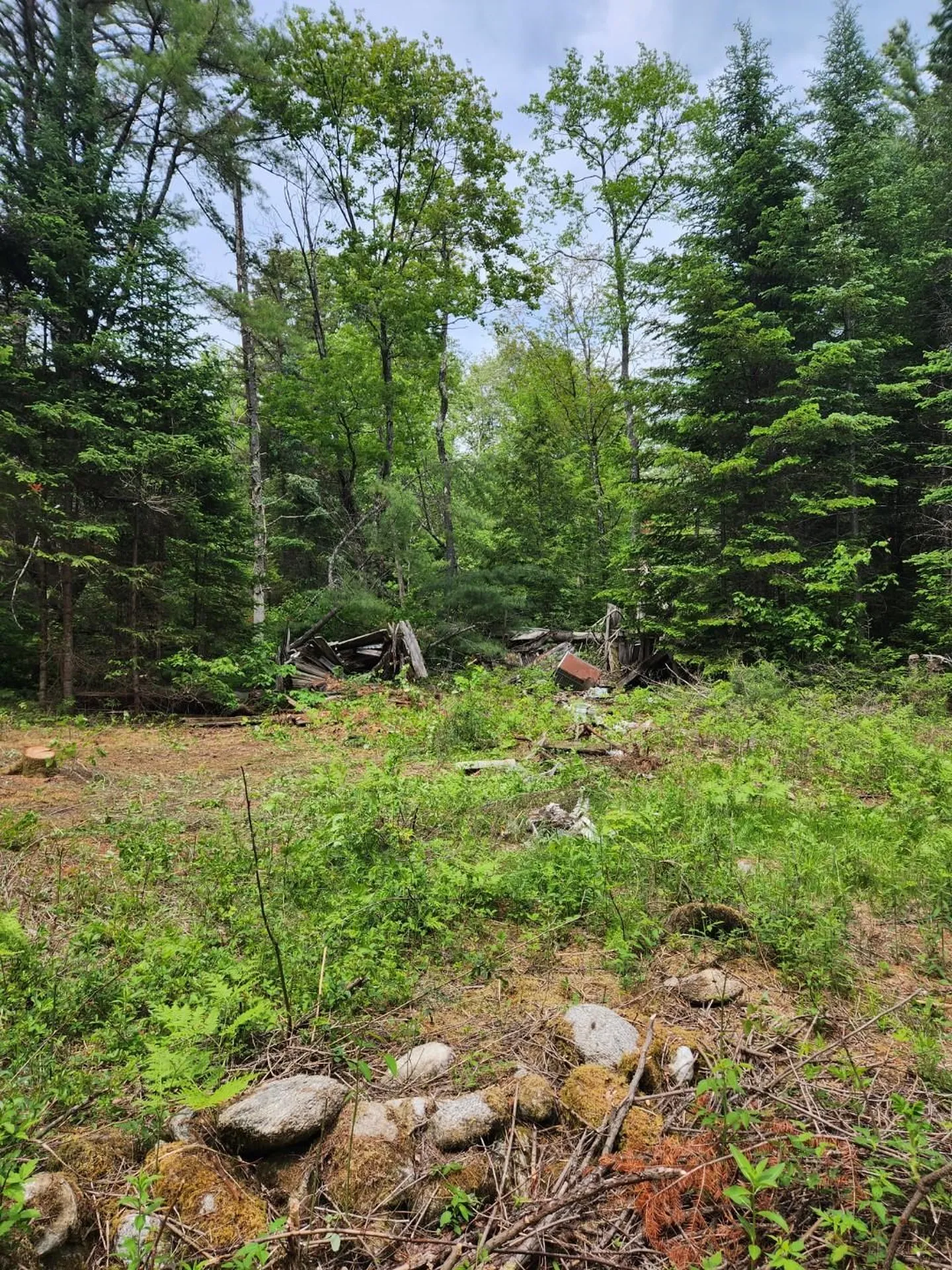 437 River Road Acworth NH 03601