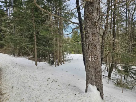 437 River Road Acworth NH 03601