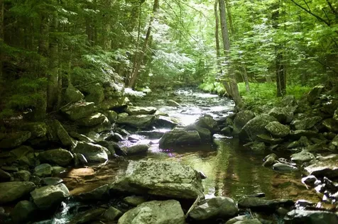 150 Upper Taylor Hill Road Winhall VT 05340