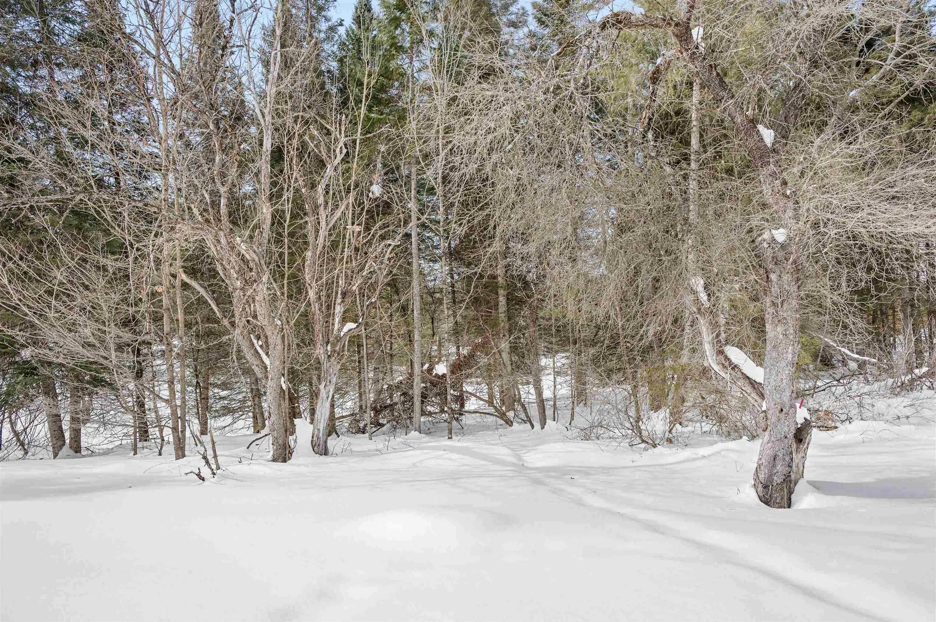 584 Elm Street Montpelier VT 05602