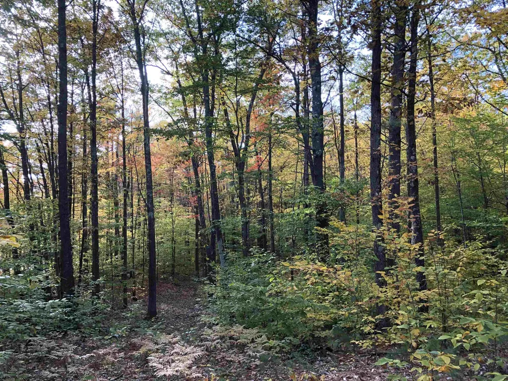 76 Edgerly School Road Meredith NH 03253