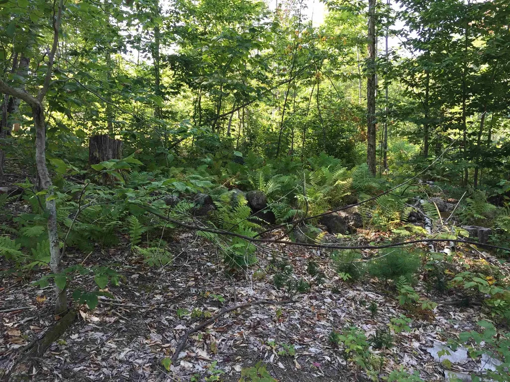 76 Edgerly School Road Meredith NH 03253