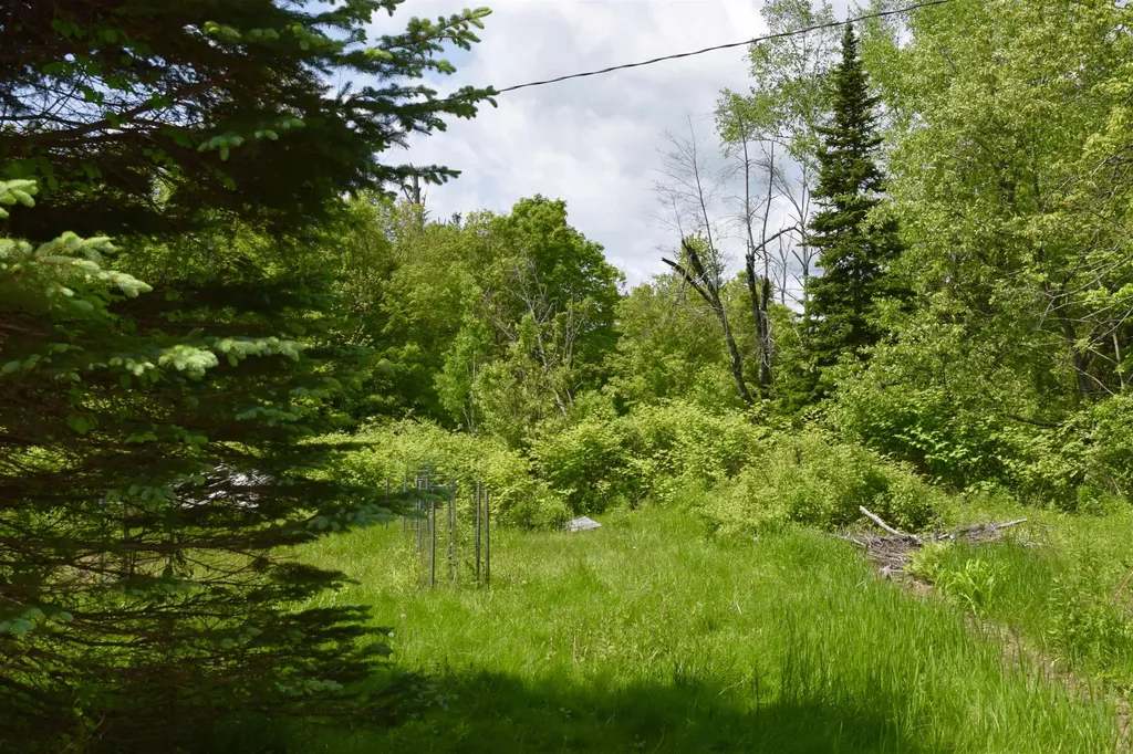 76 Edgerly School Road Meredith NH 03253