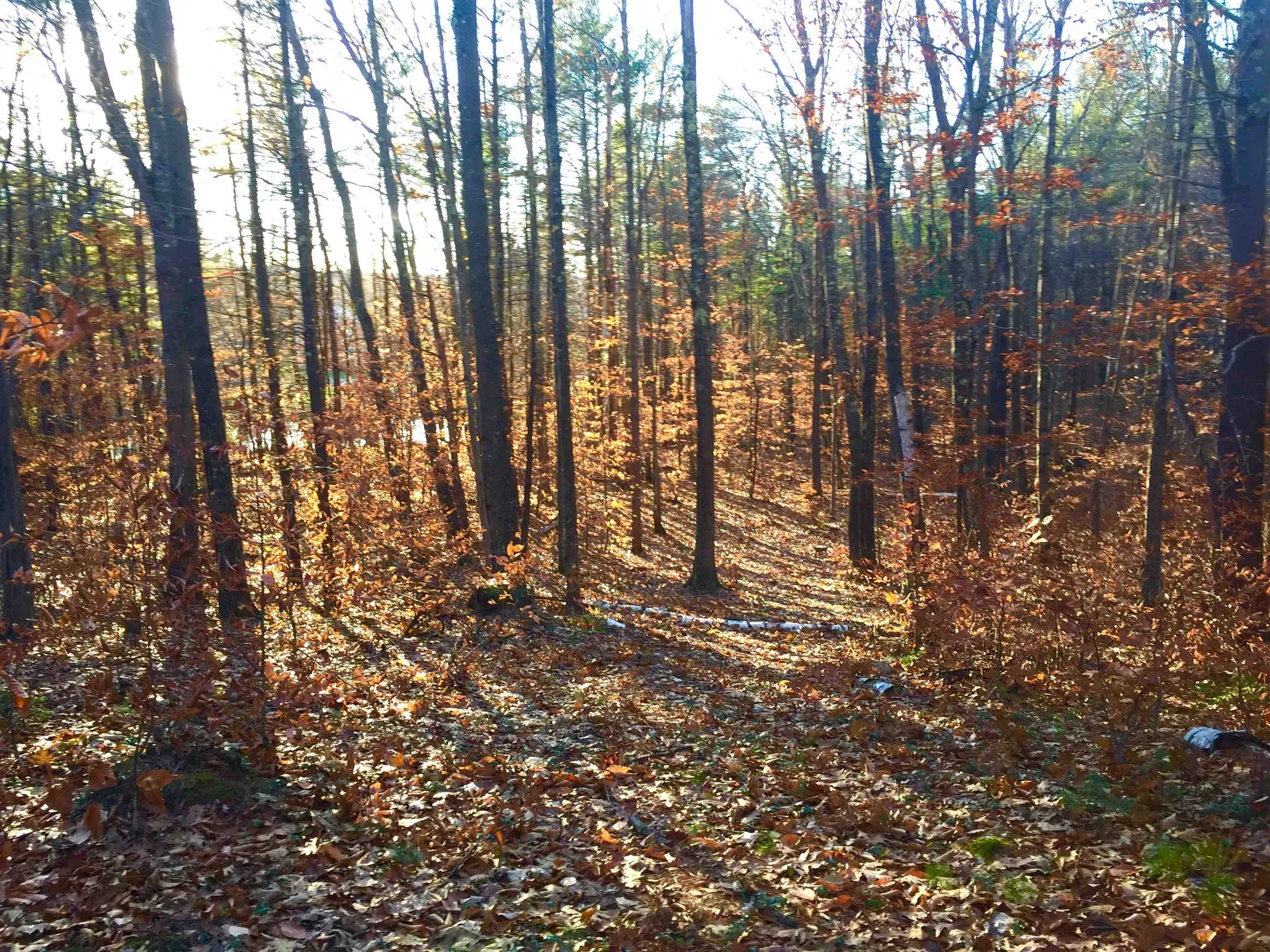 76 Edgerly School Road Meredith NH 03253