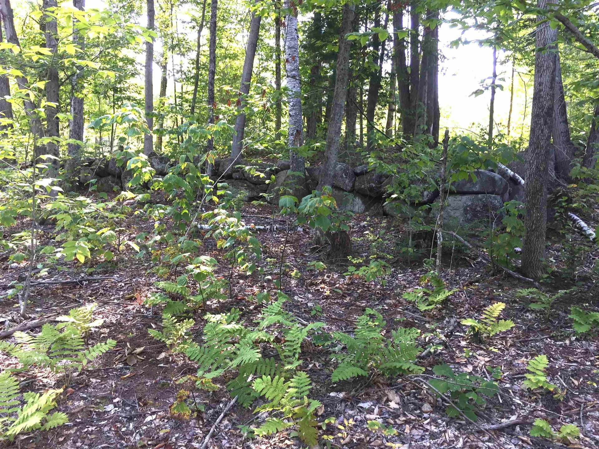 76 Edgerly School Road Meredith NH 03253