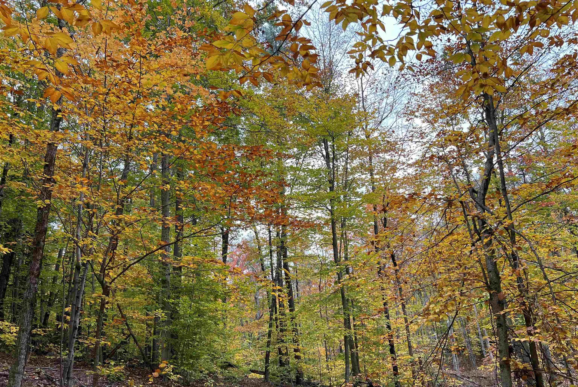 76 Edgerly School Road Meredith NH 03253