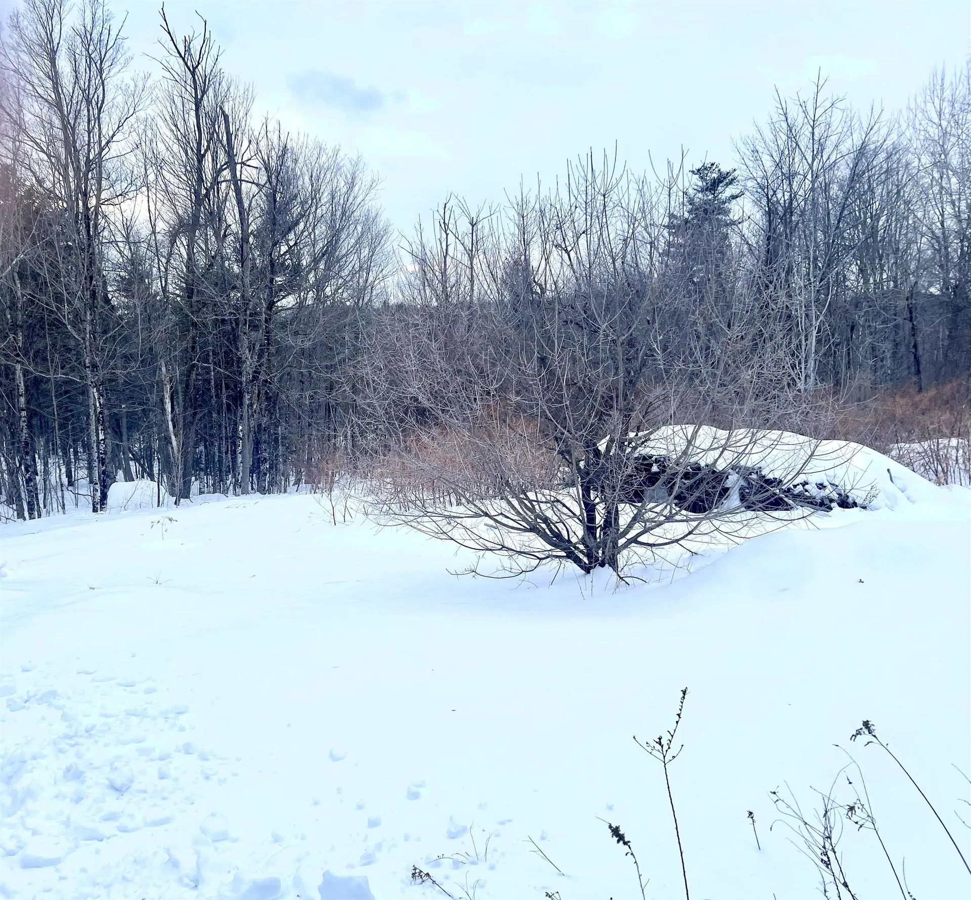 76 Edgerly School Road Meredith NH 03253