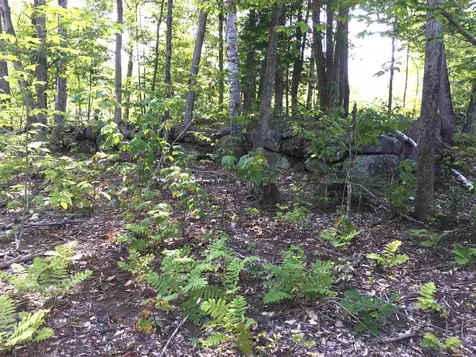 76 Edgerly School Road Meredith NH 03253