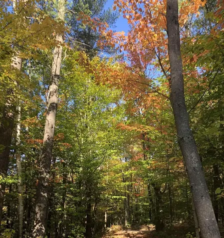 76 Edgerly School Road Meredith NH 03253