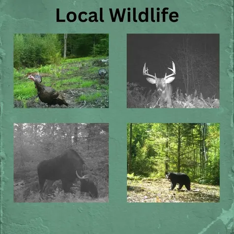 76 Edgerly School Road Meredith NH 03253