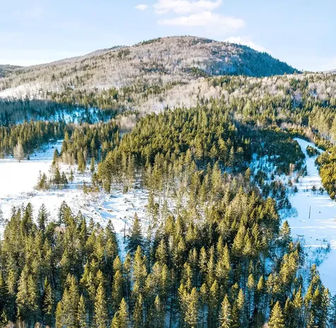 Lot A2-32-7 Fred Brooks Road Pittsburg NH 03592