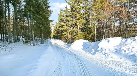 Lot A2-32-7 Fred Brooks Road Pittsburg NH 03592