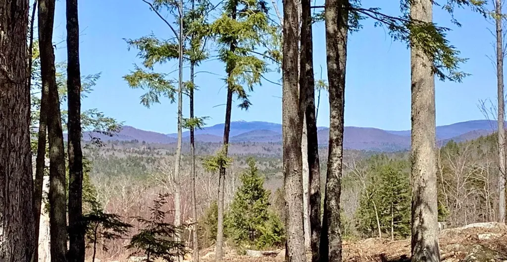 63 Old Winslow Road Wilmot NH 03287