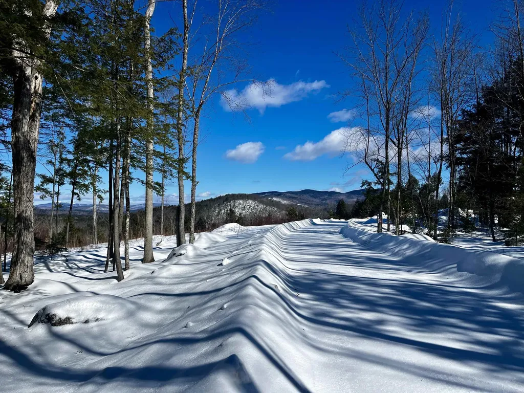 63 Old Winslow Road Wilmot NH 03287