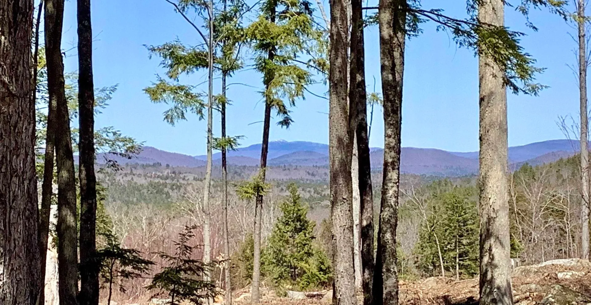 63 Old Winslow Road Wilmot NH 03287