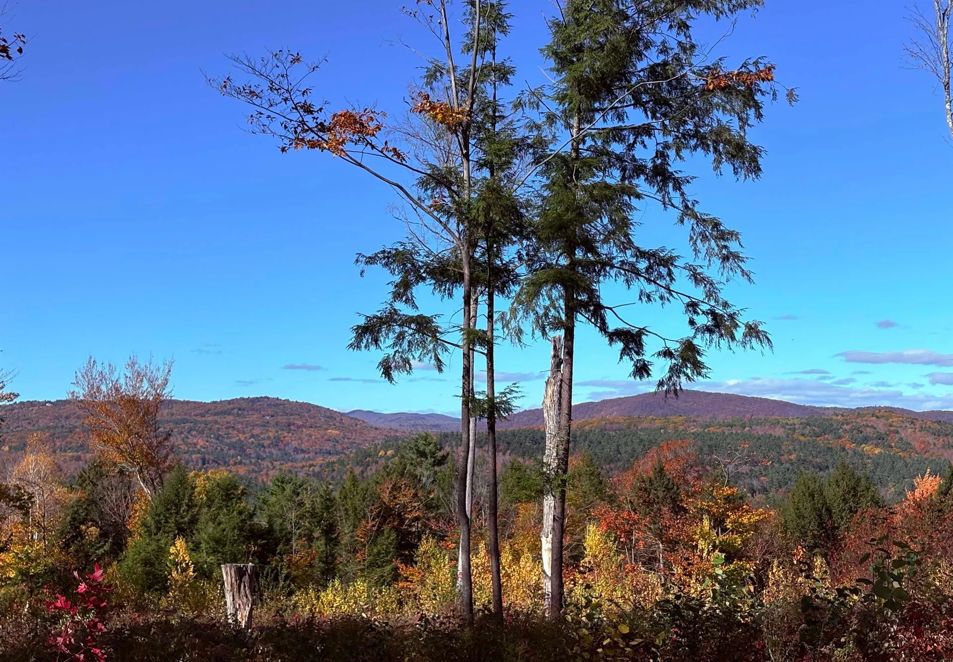 63 Old Winslow Road Wilmot NH 03287