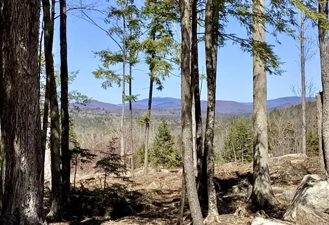 63 Old Winslow Road Wilmot NH 03287