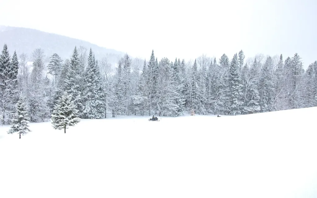 246 East Haven Road Brighton VT 05846