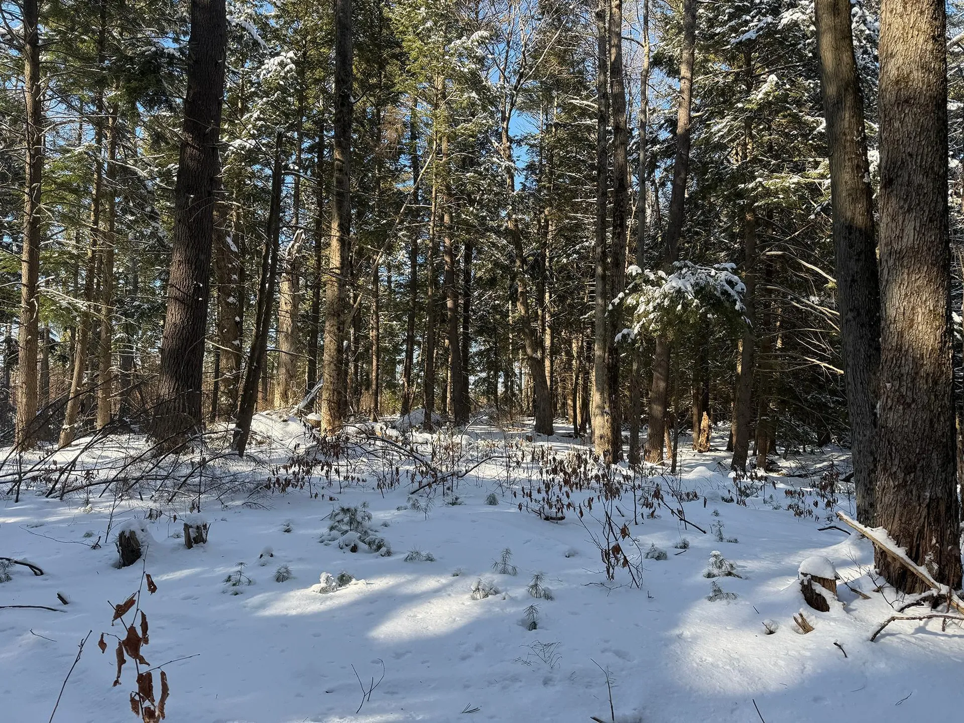 Province Road Belmont NH 03220