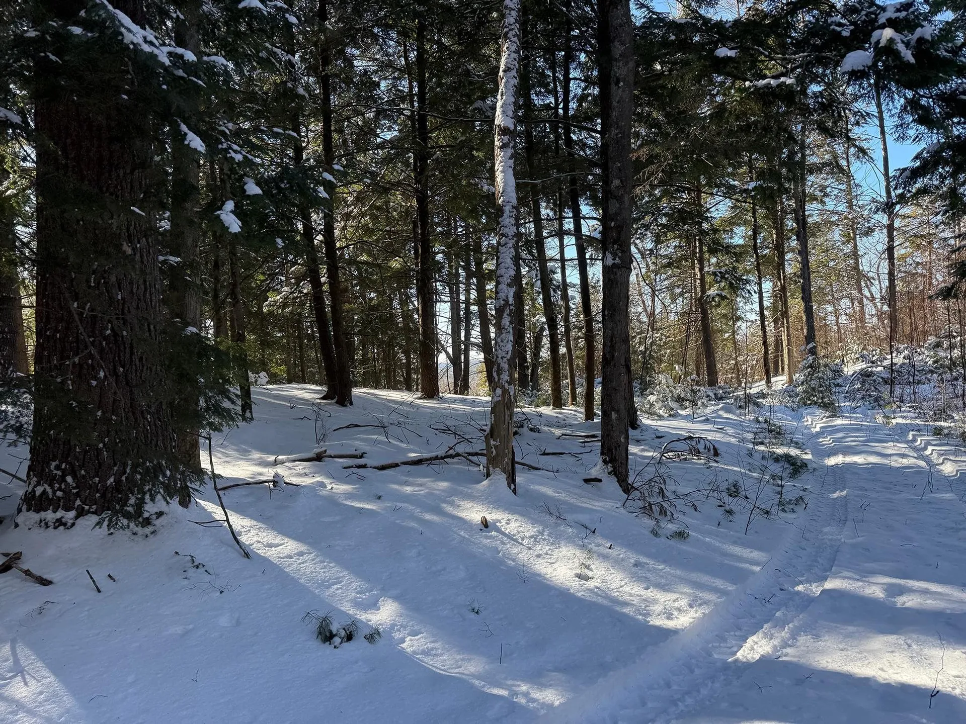 Province Road Belmont NH 03220