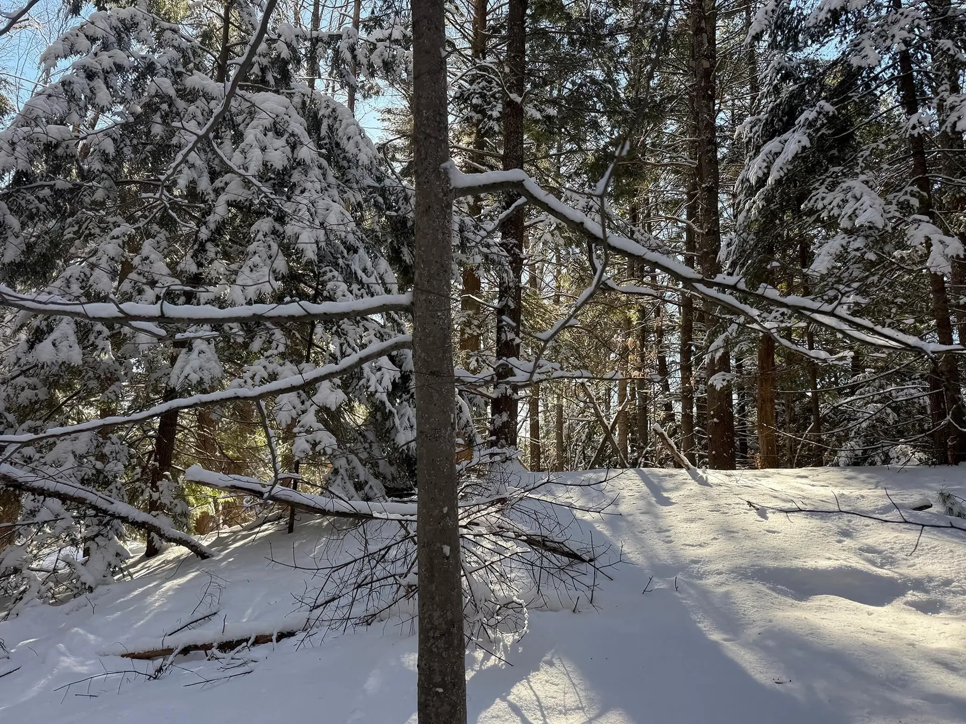 Province Road Belmont NH 03220