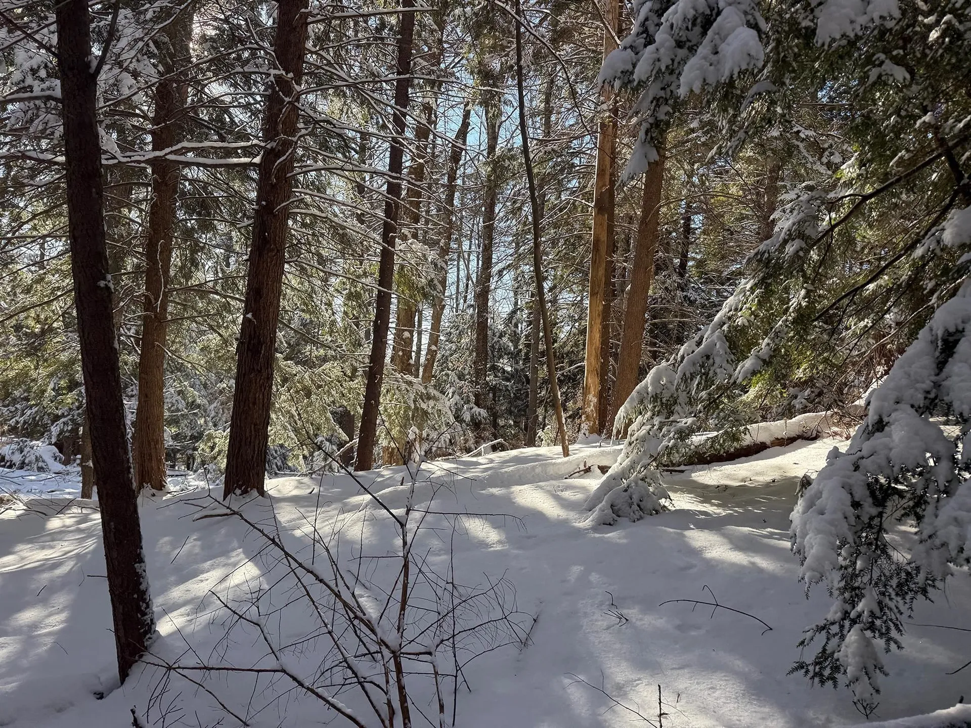 Province Road Belmont NH 03220