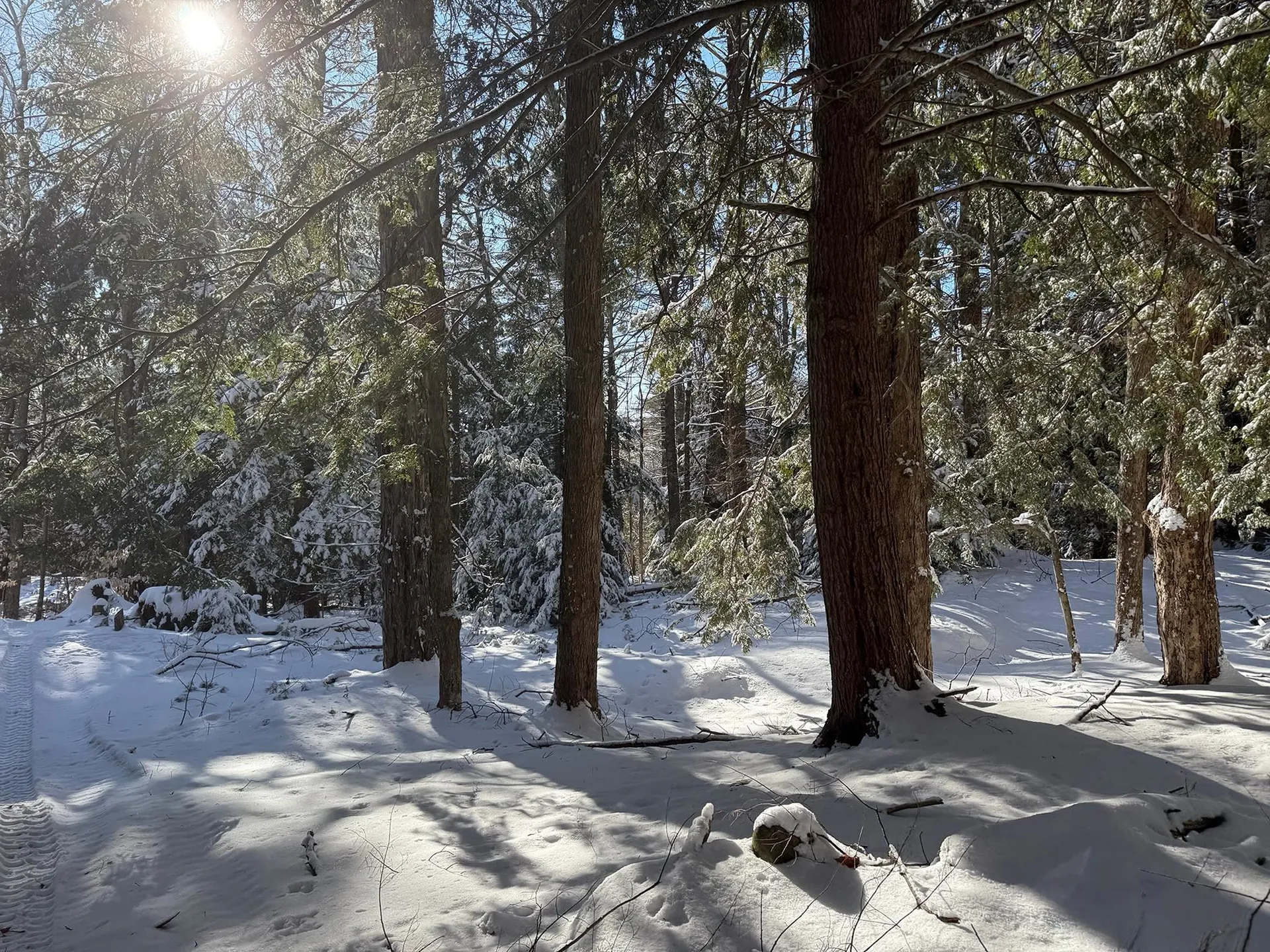 Province Road Belmont NH 03220