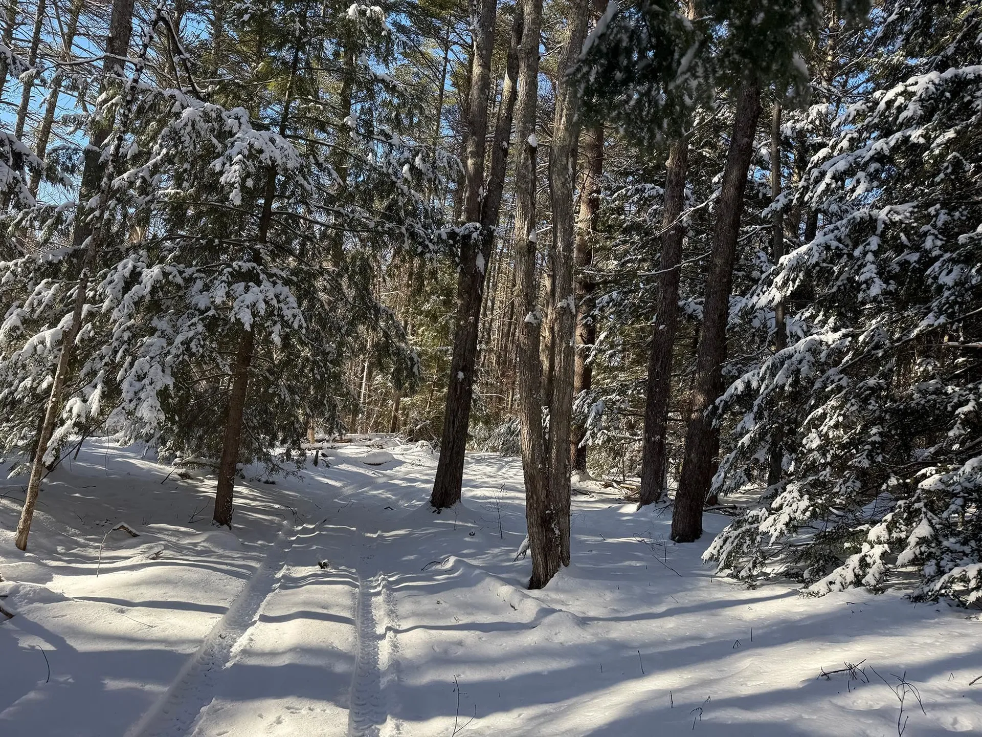 Province Road Belmont NH 03220