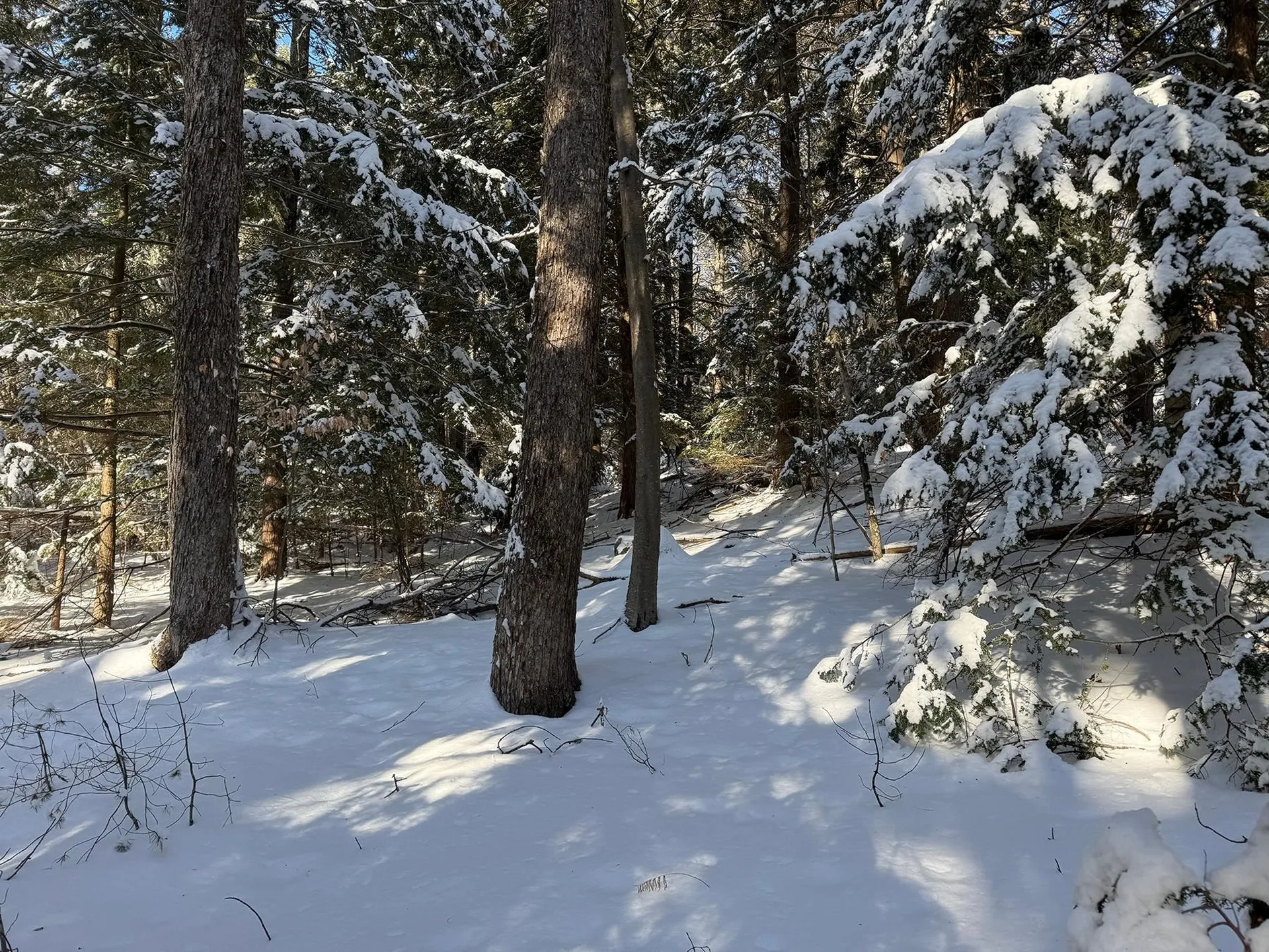 Province Road Belmont NH 03220