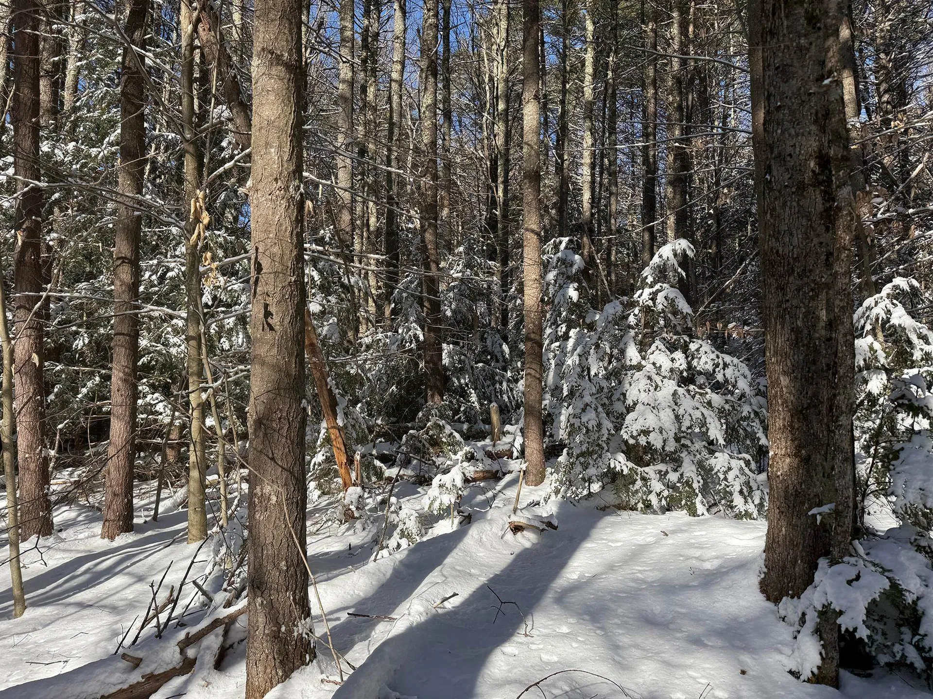 Province Road Belmont NH 03220