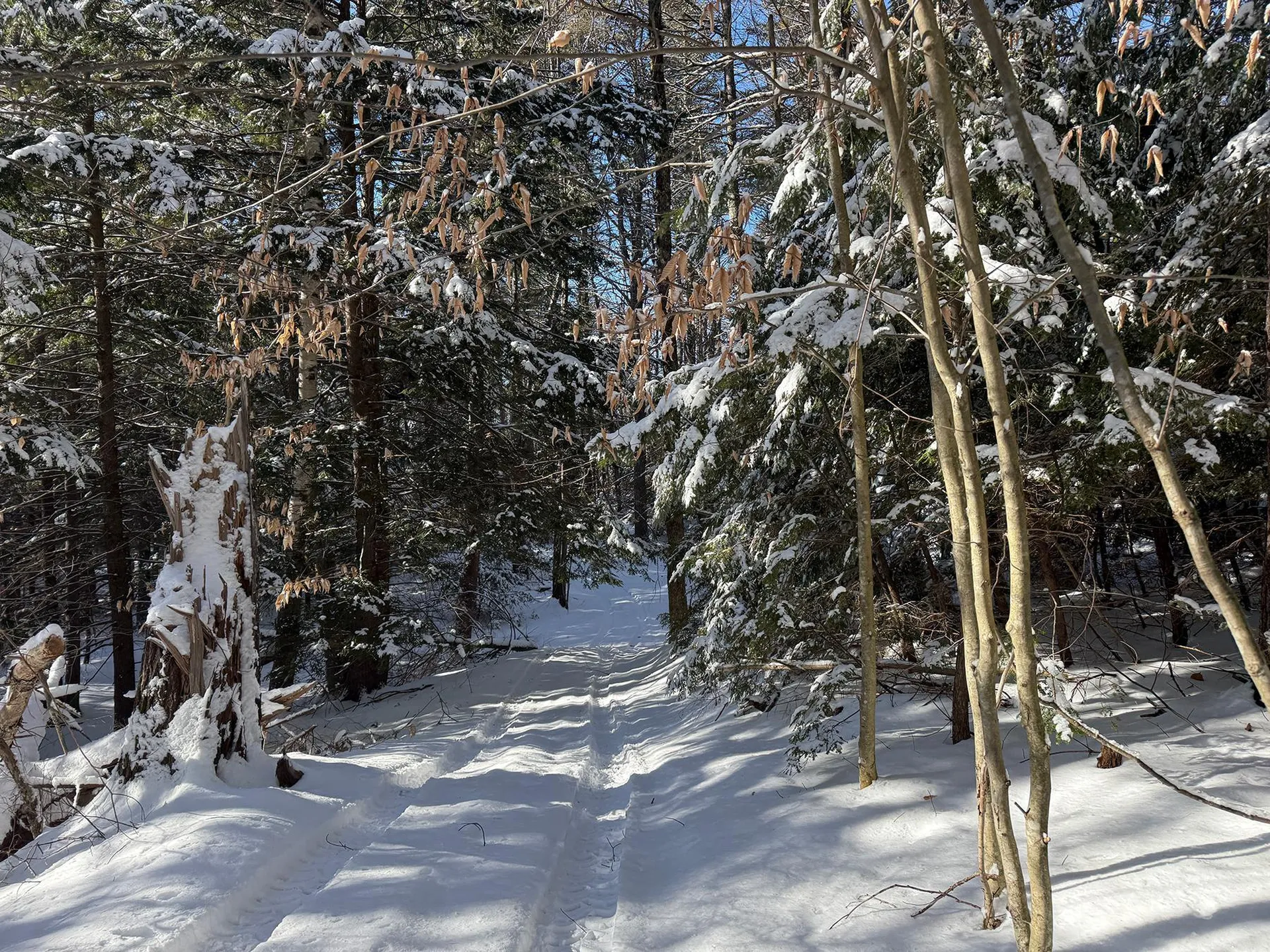 Province Road Belmont NH 03220