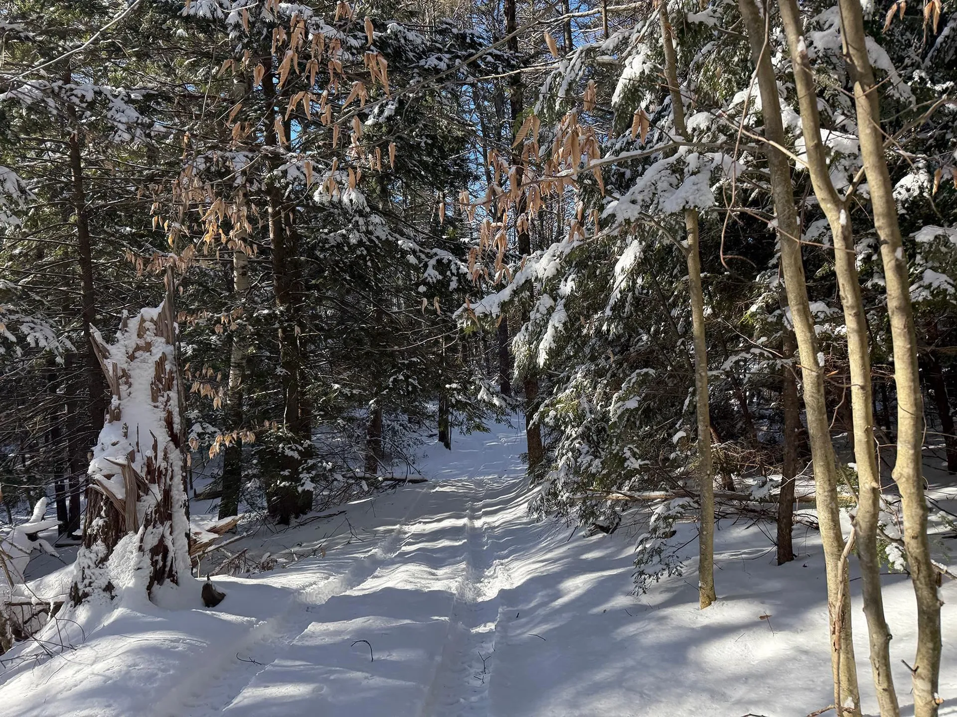 Province Road Belmont NH 03220