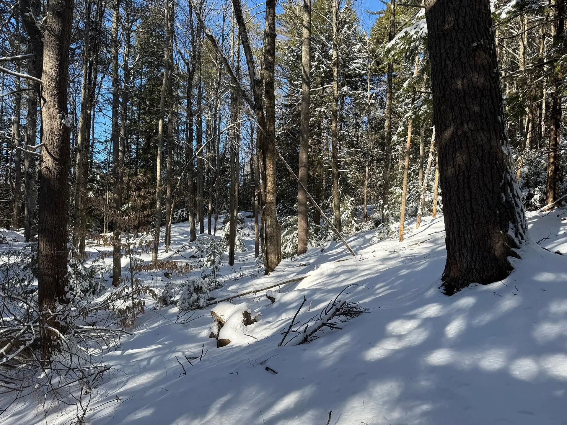 Province Road Belmont NH 03220