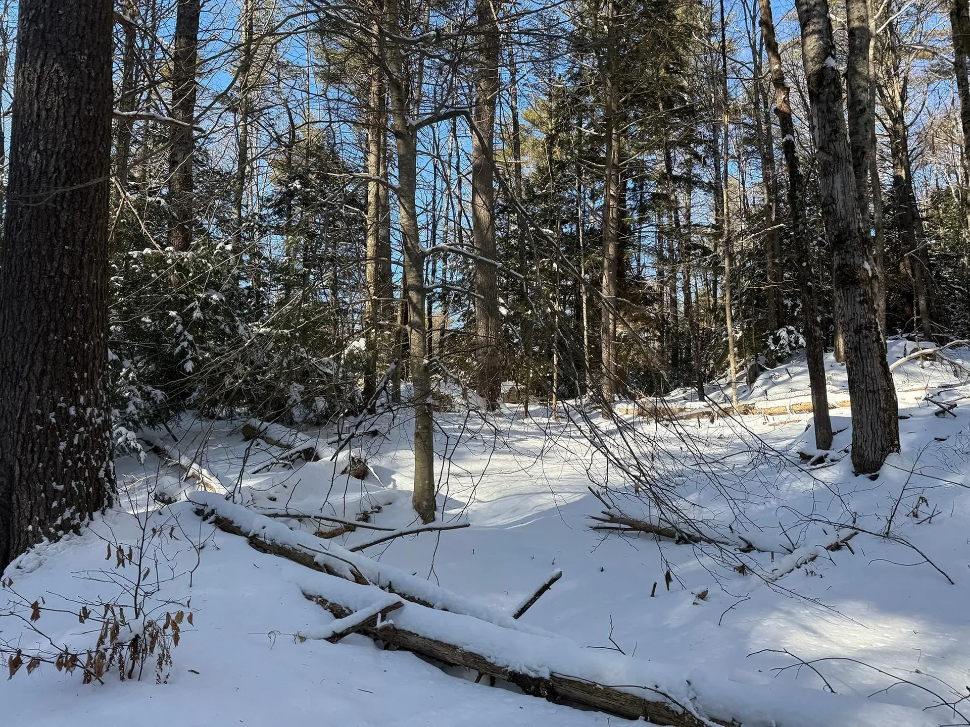 Province Road Belmont NH 03220