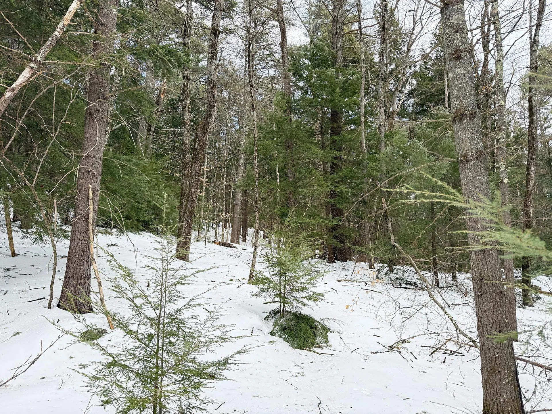 Province Road Belmont NH 03220