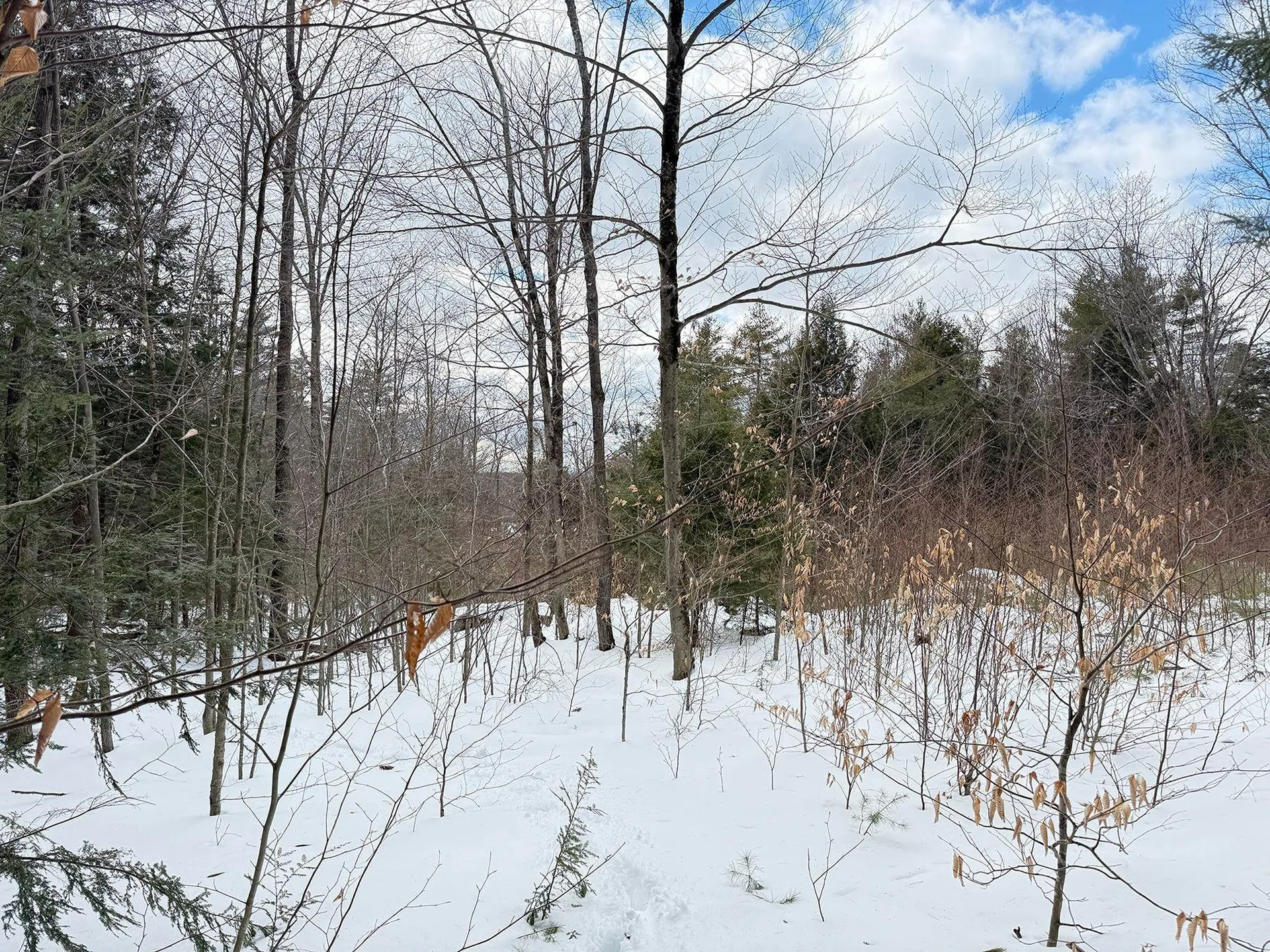 Province Road Belmont NH 03220