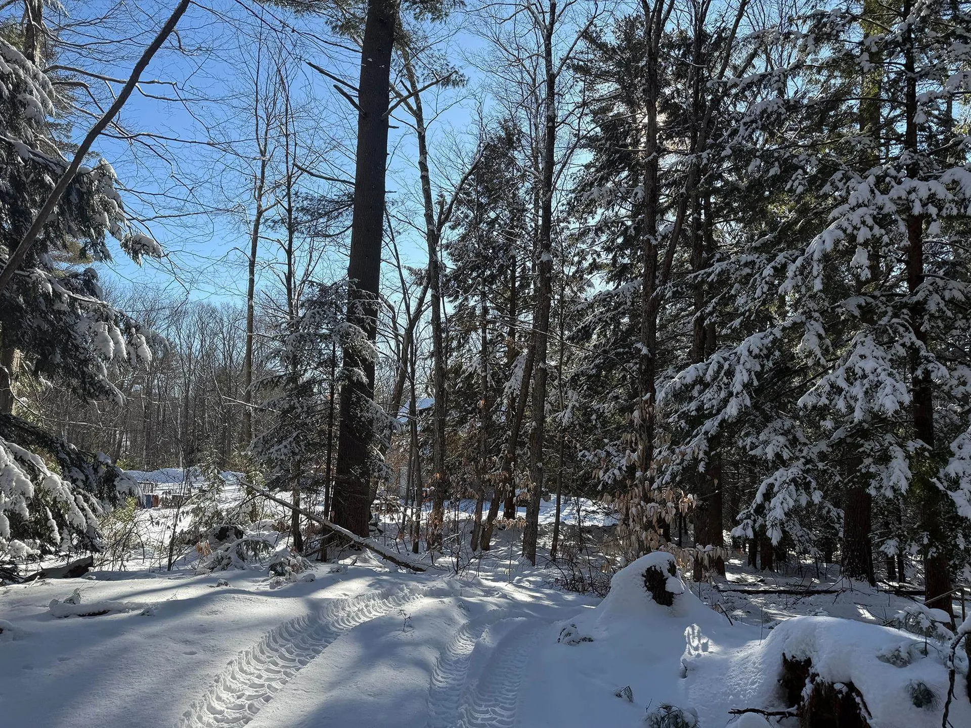 Province Road Belmont NH 03220