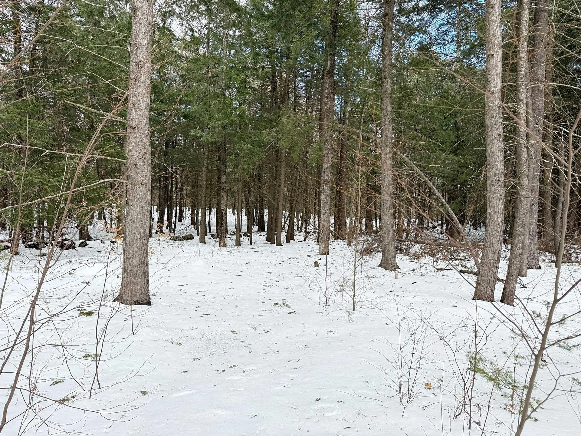 Province Road Belmont NH 03220